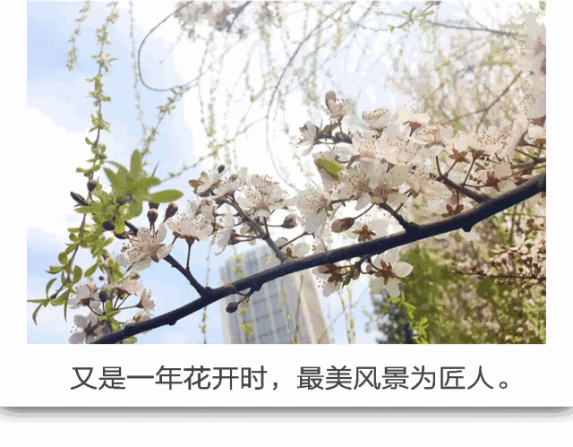 微信图片_20180502101012
