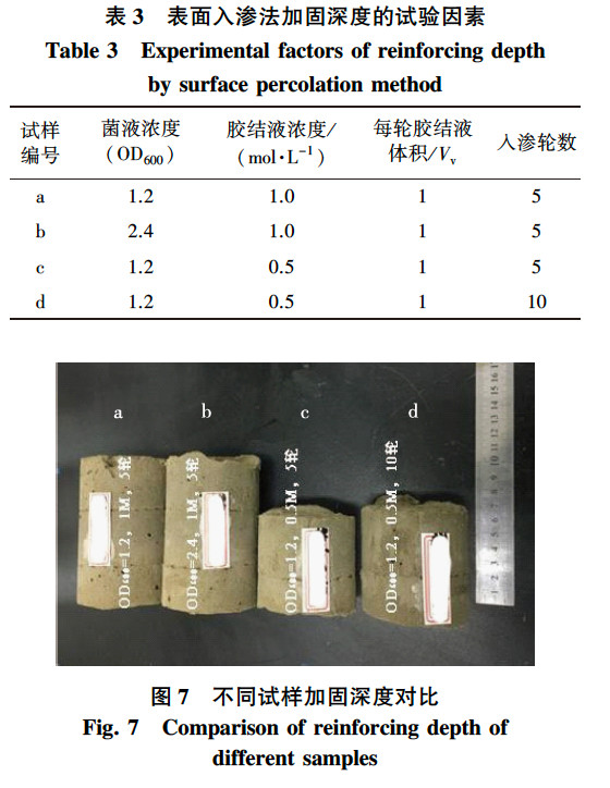 微信图片_20240617090819.jpg